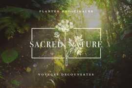 Conférence chamanisme par Guillaume Zeender de Sacred Nature