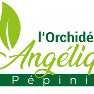 PEPINIERE L'ORCHIDEE ANGELIQUE